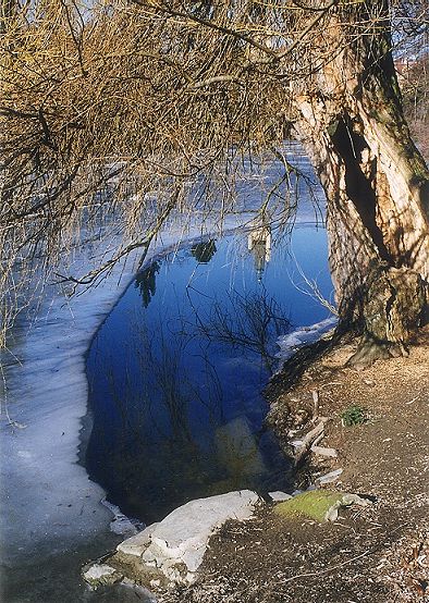 Jaro v Průhonicích